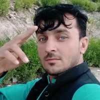 firooz shinwari's photo