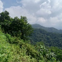 Kumar Basnet's photo