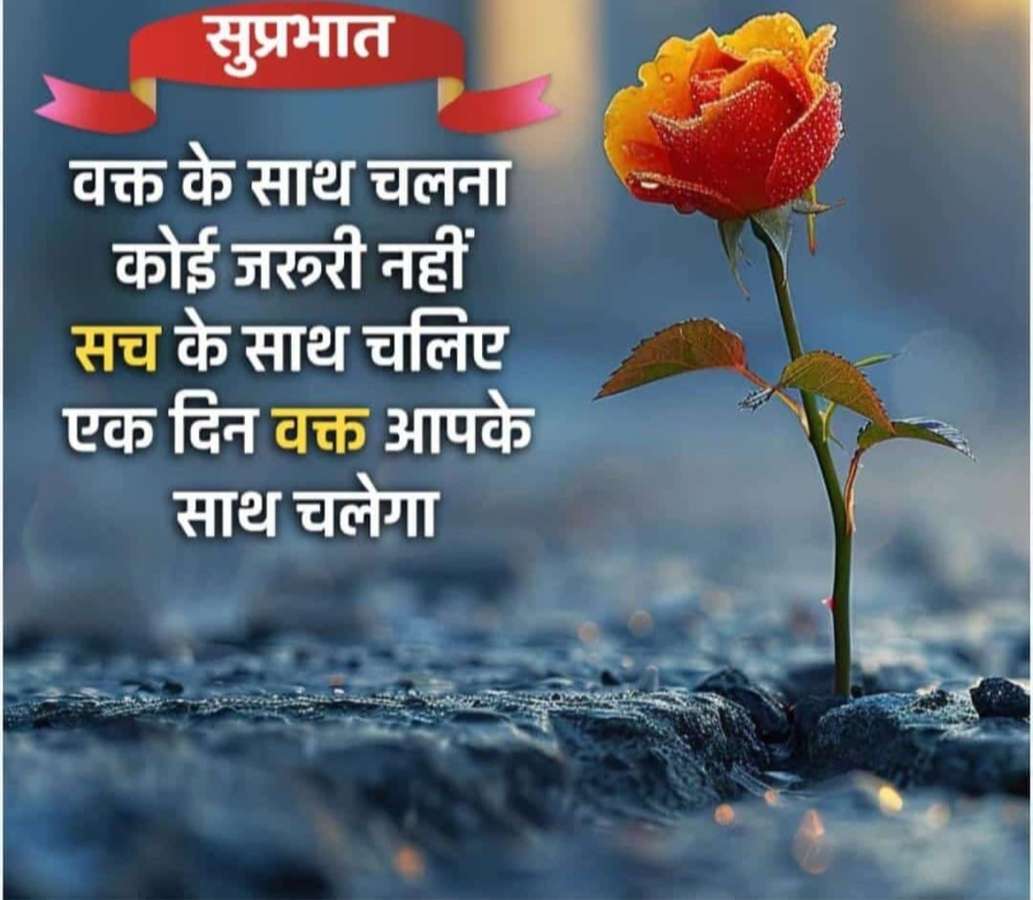 83948395 2227 medium large