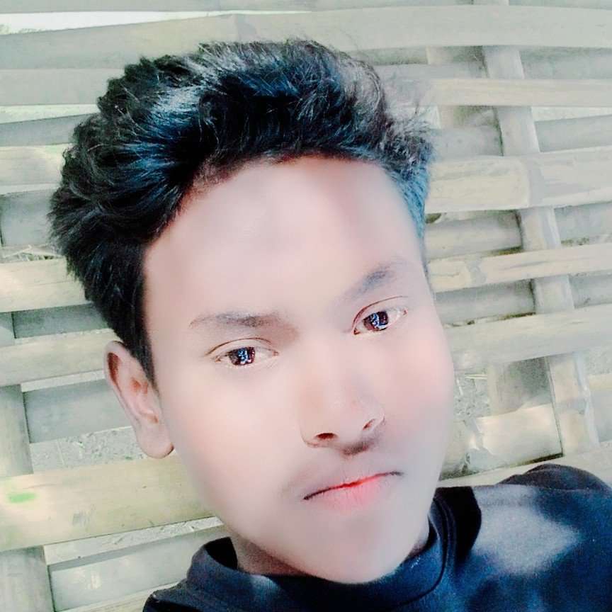 85012093 246 medium large