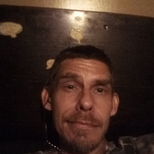 44313237 254