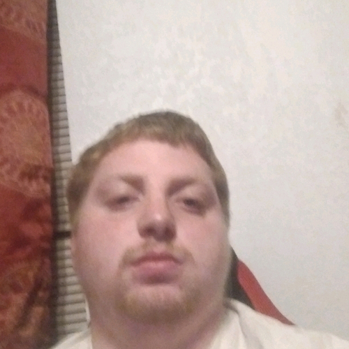 52260486 8137