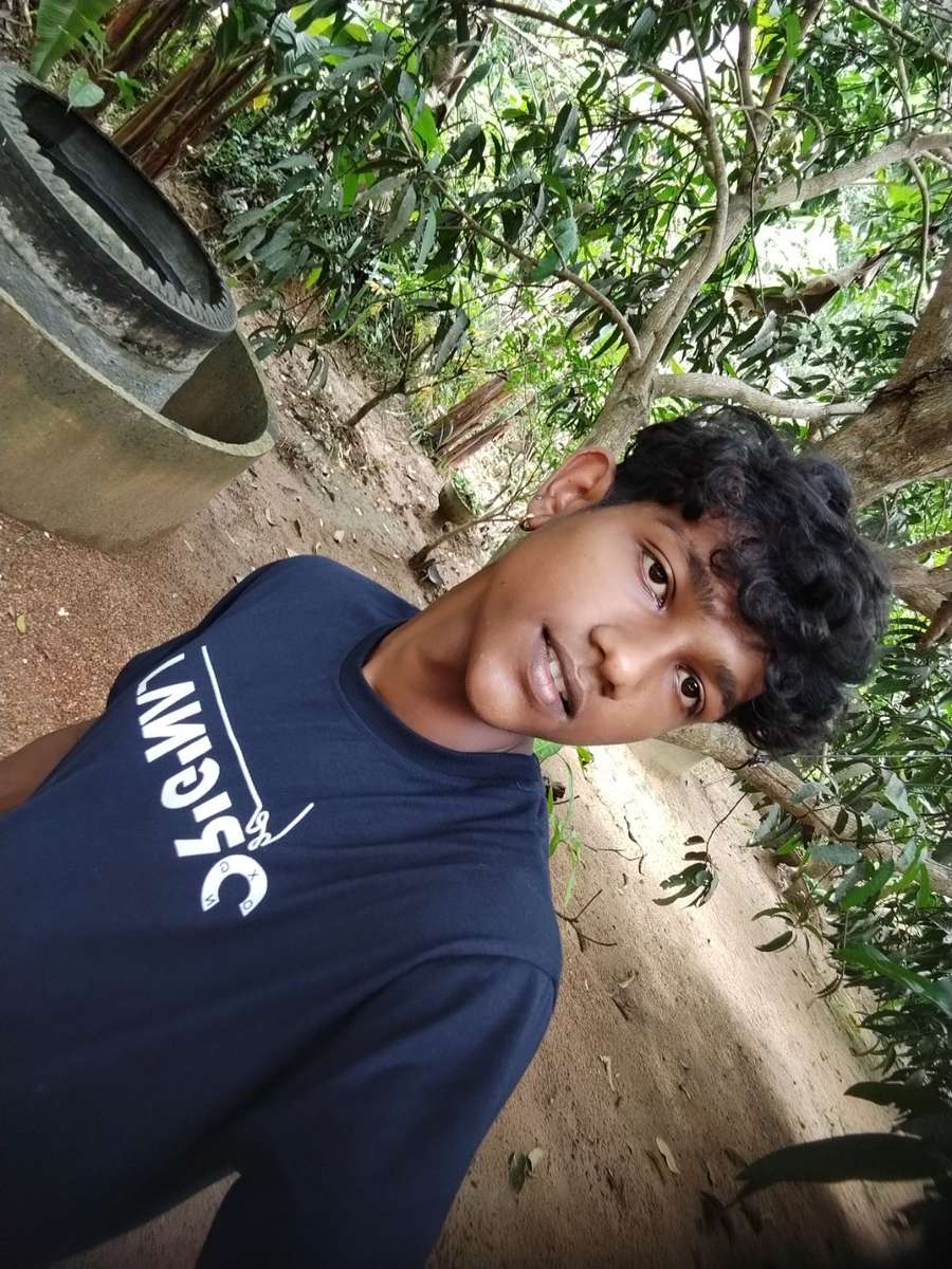 87585041 1671 medium large