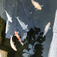 Munkhdelgerekh O's photo