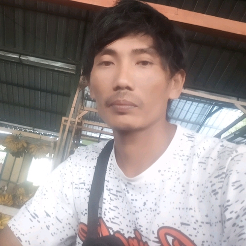 54932908 3811