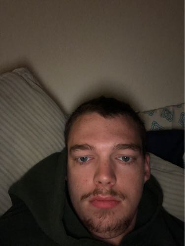 44294131 631