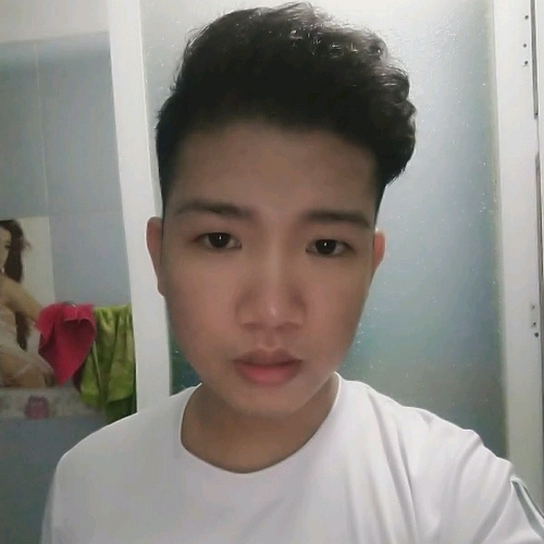 72771782 4353
