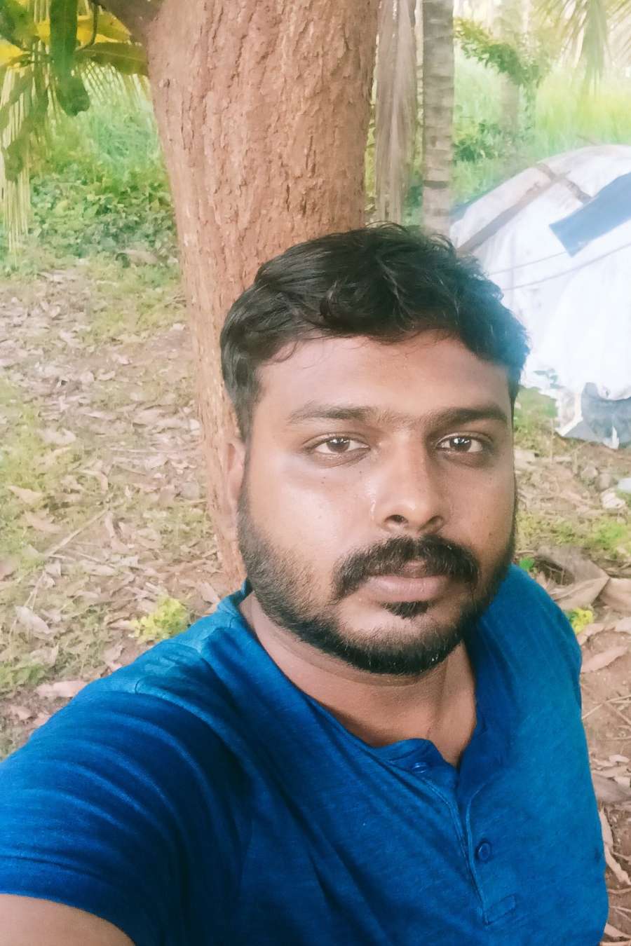 88662050 4982 medium large