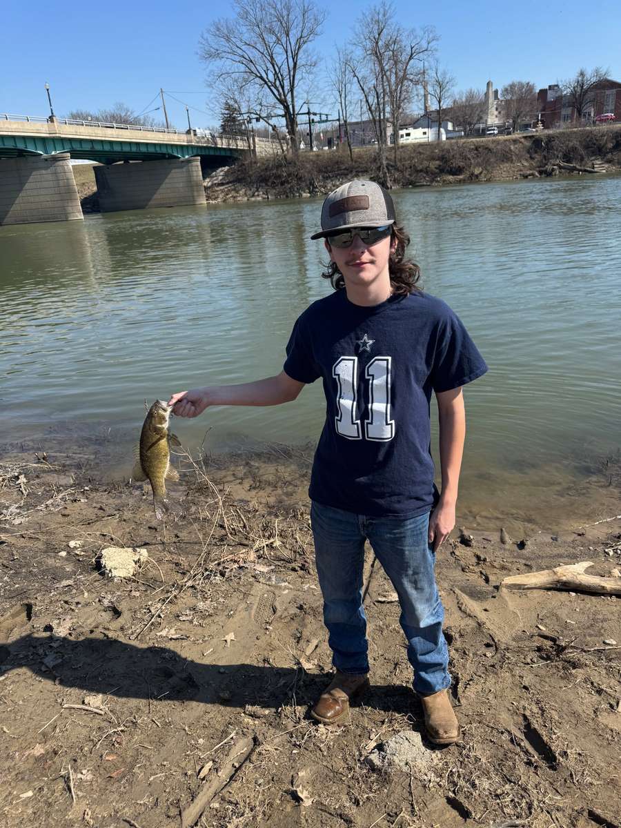 86305506 8530 medium large