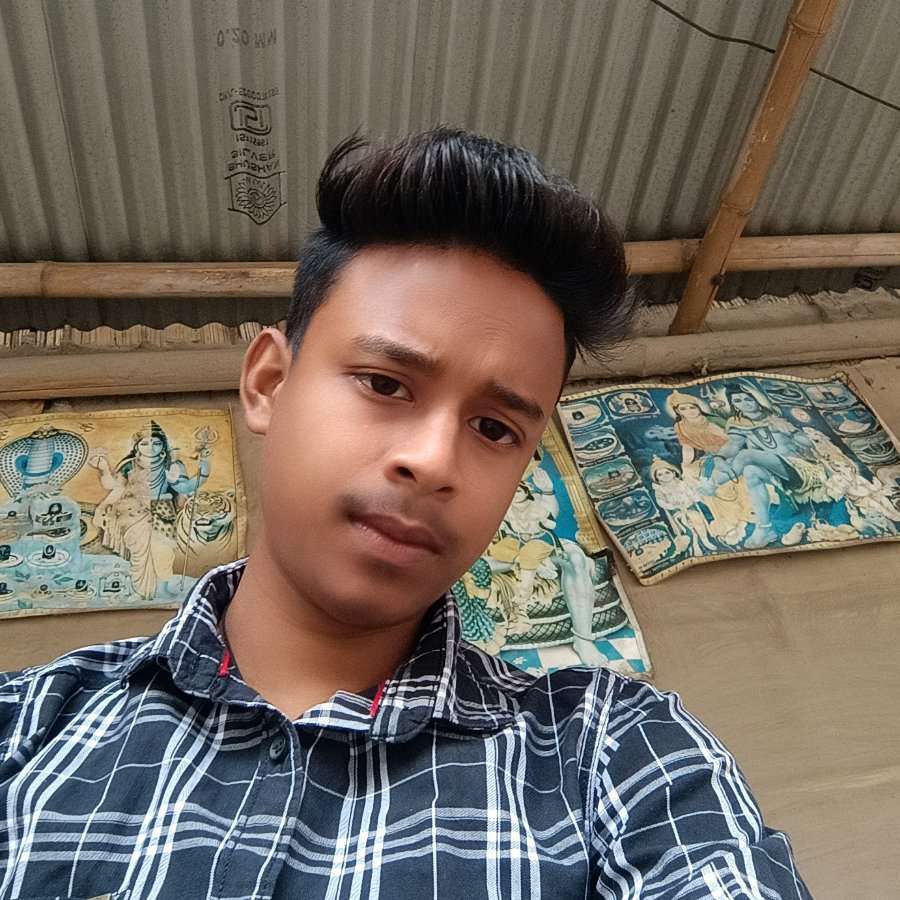 82371348 8203 medium large
