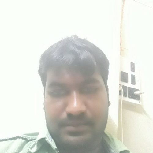 48629065 2818