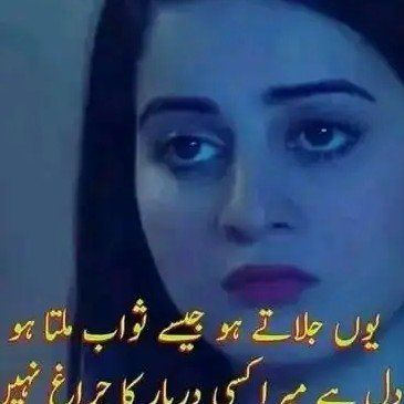 82933243 3296 medium large