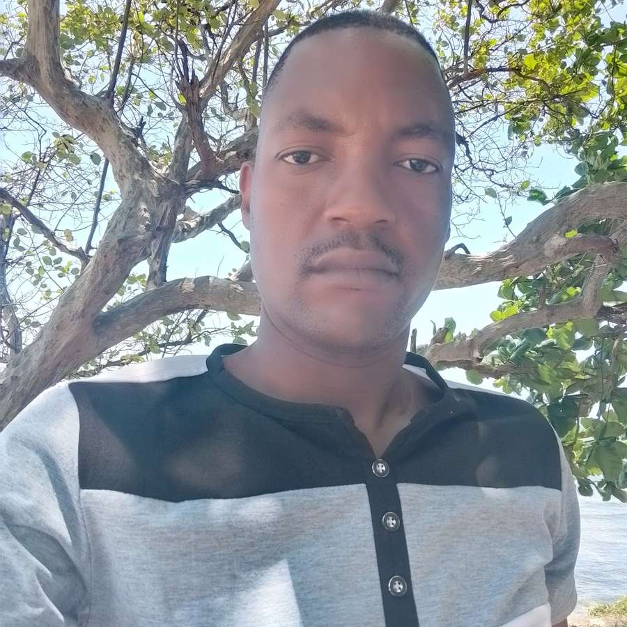 84703153 7402 medium large