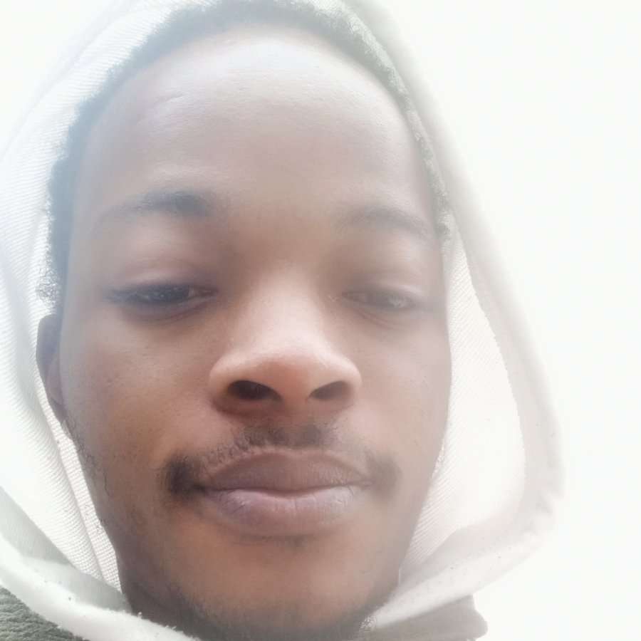 81288313 92 medium large