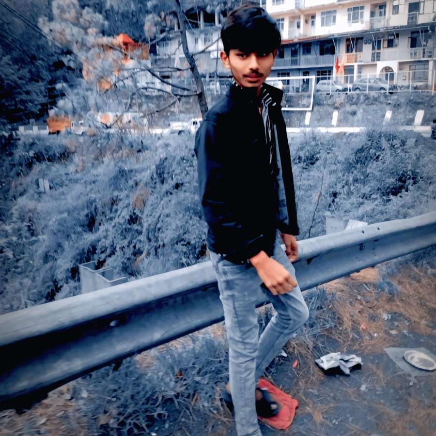87398867 5166 medium large