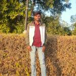 CHANDRA PRAKASH's photo