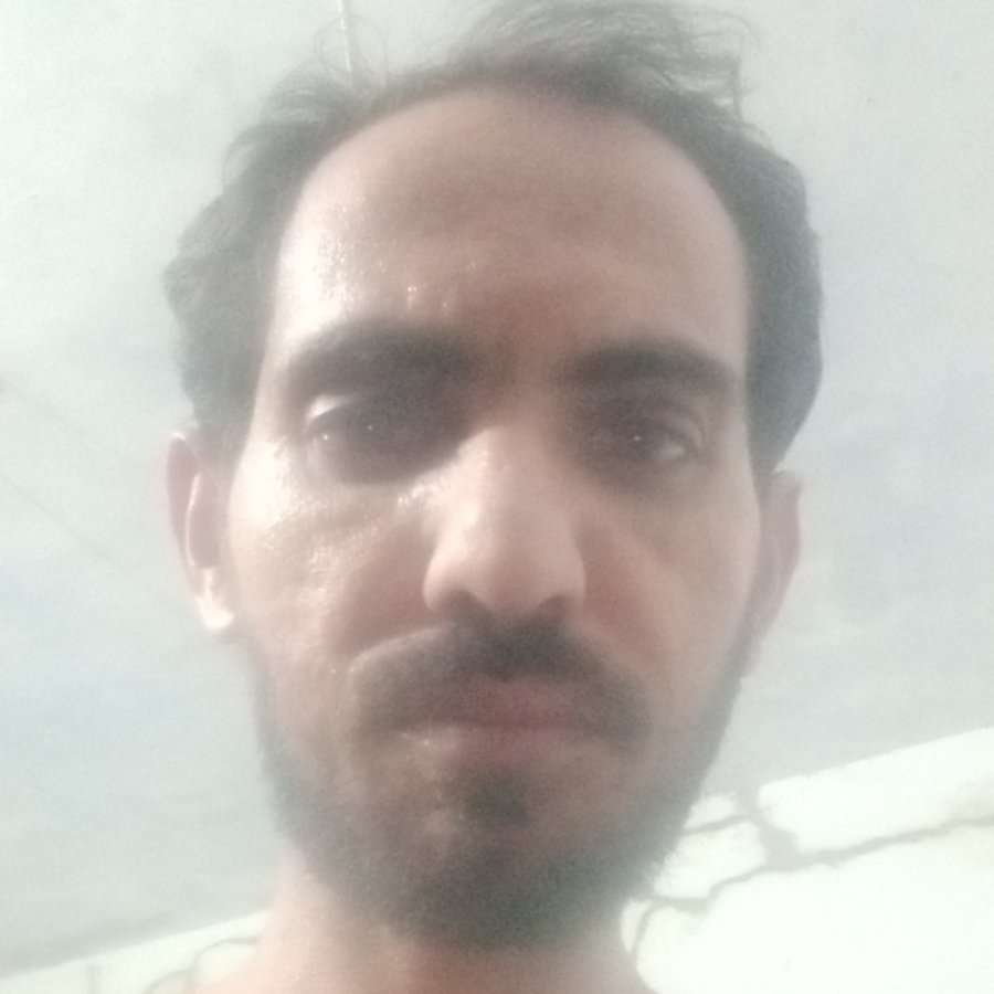 81836205 6650 medium large