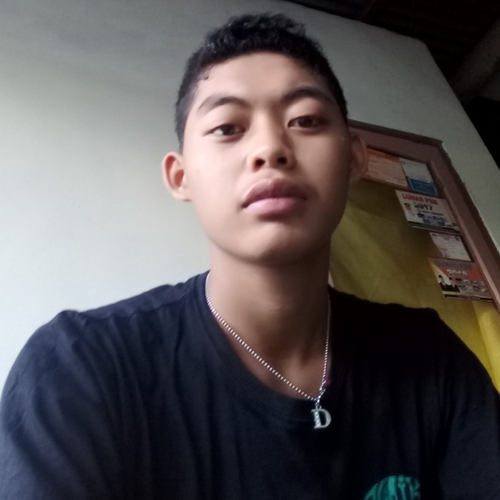49173063 4144