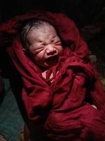 Prince Yadav's photo