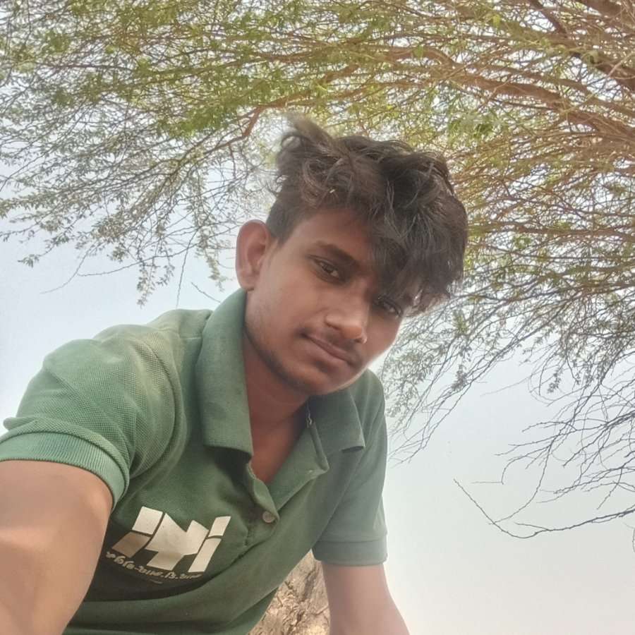 82156652 735 medium large