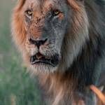 Zod Shahzain's photo