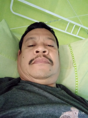 45803838 8481