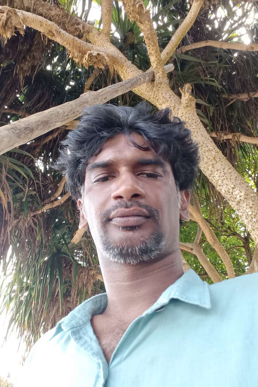 88180679 2878 medium large