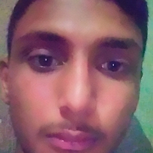 73007517 6599