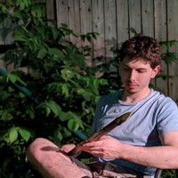 טל אולין's photo