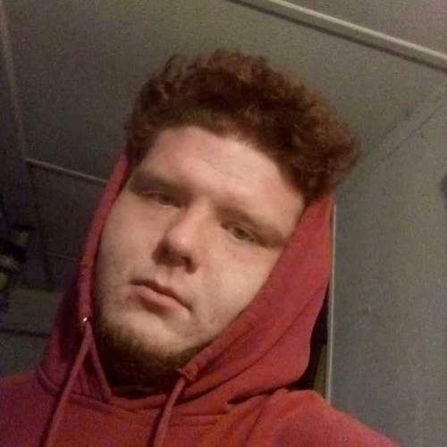 50752248 599