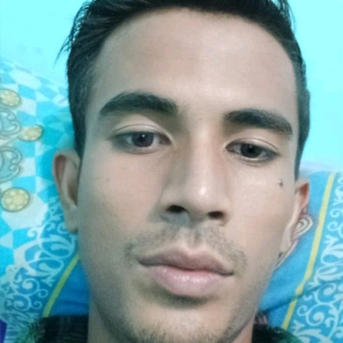 53775669 3012