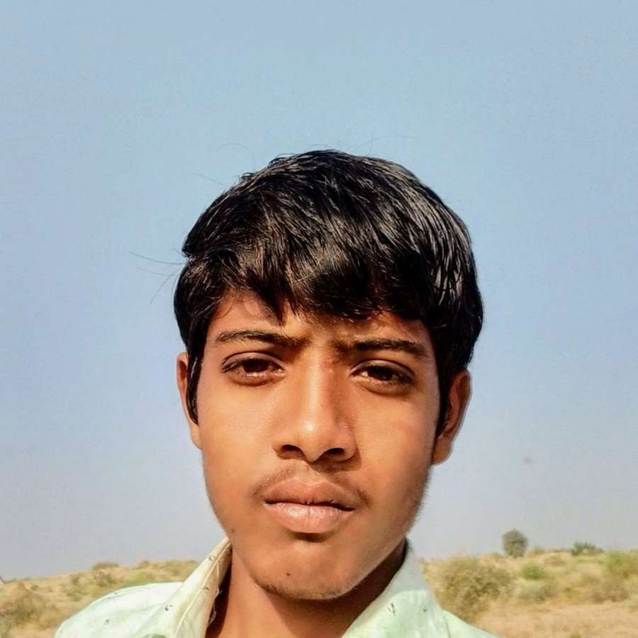 84257761 278 medium large