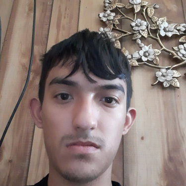 44593006 6