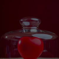 manjot bajwa's photo