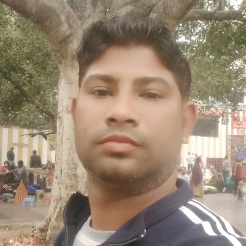 56956884 8516