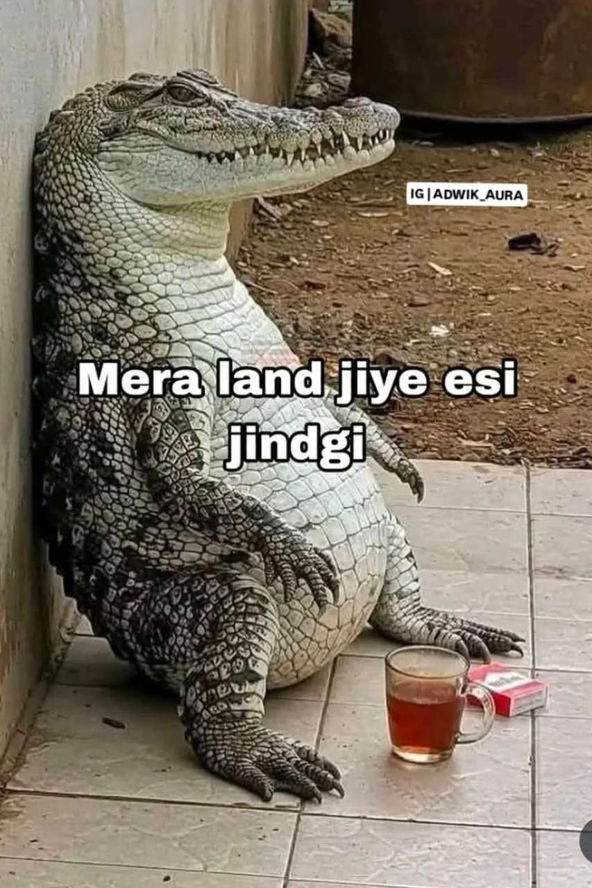 88575800 8968 medium large