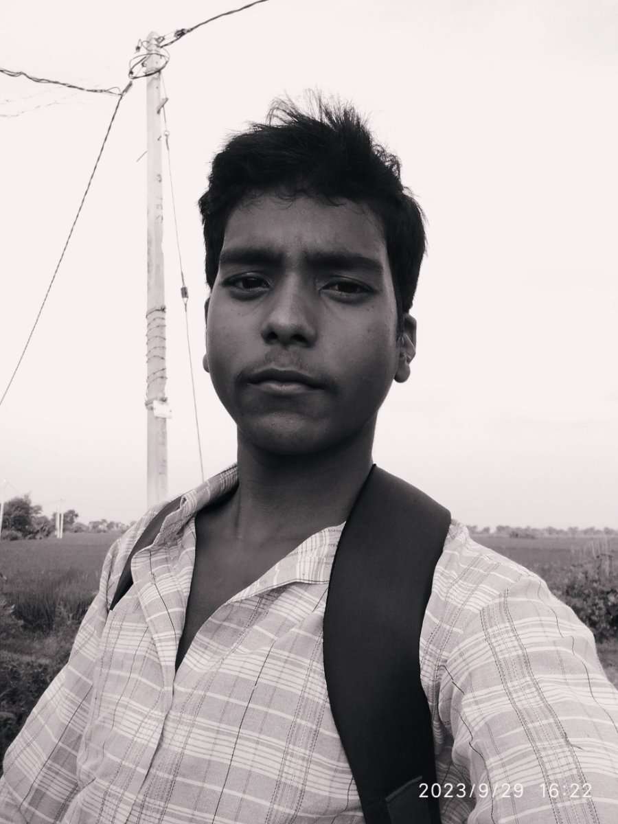 76383411 3941 medium large