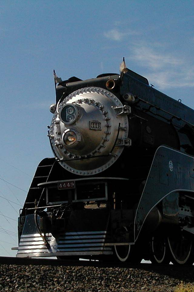 89603653 558 medium large