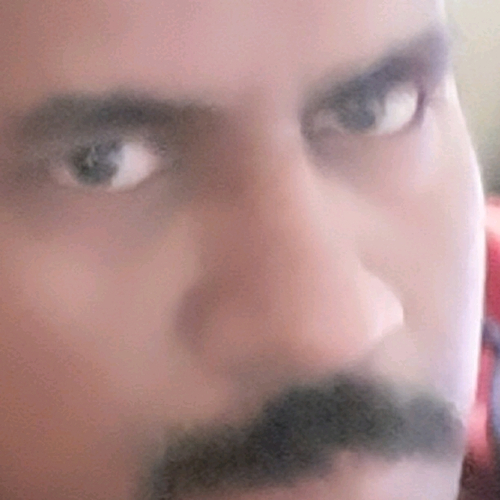 50243148 8085
