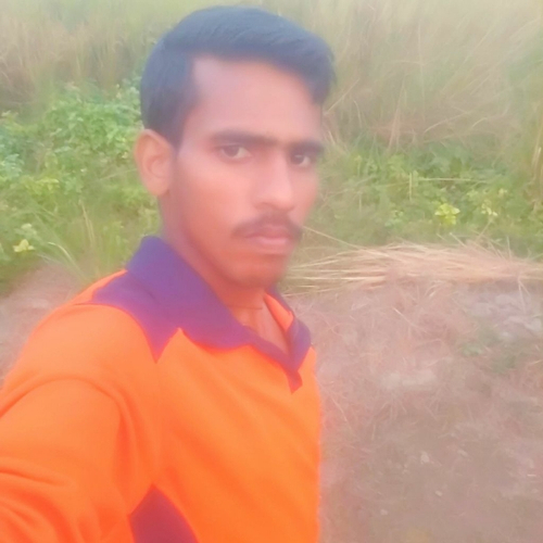 48808567 650