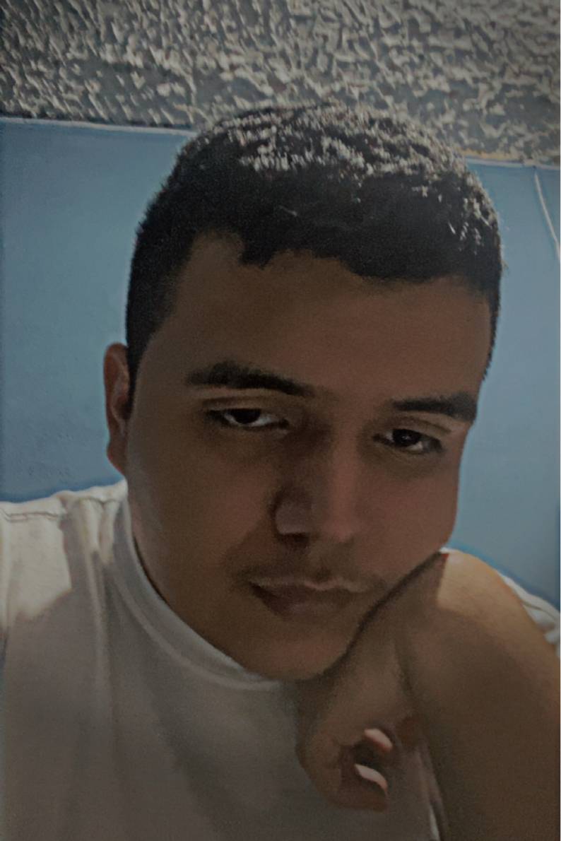 88691348 1703 medium large