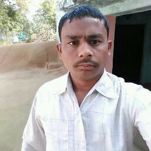 53935492 8686