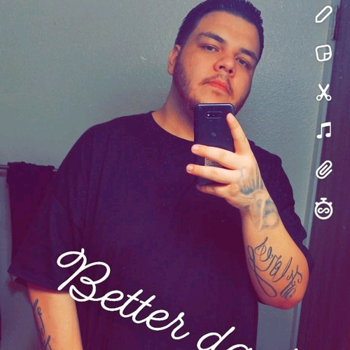 53586282 7527