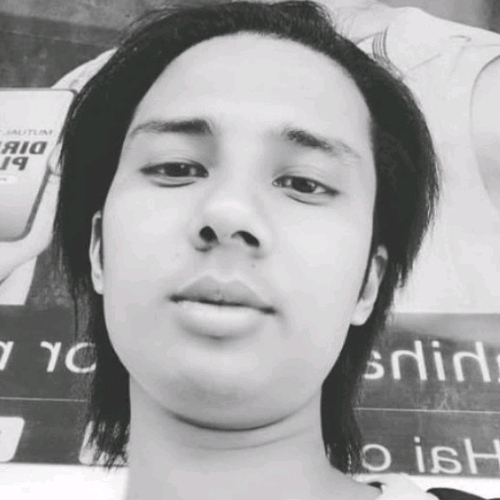 61631562 8385