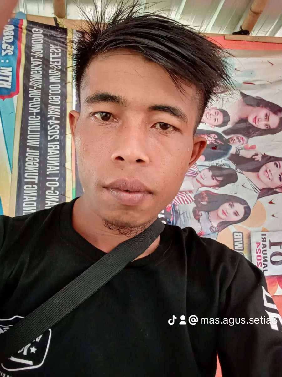 83312208 3437 medium large