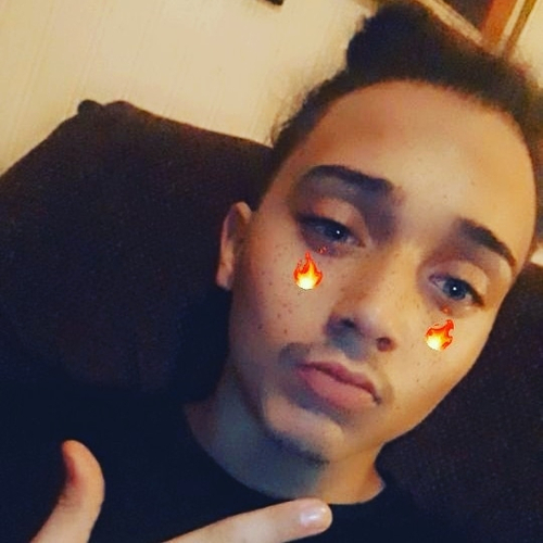 49362262 8562