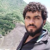 Jungle Travel's photo