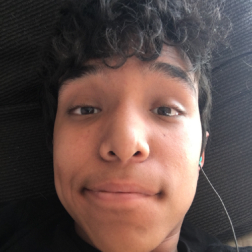 49121901 9484