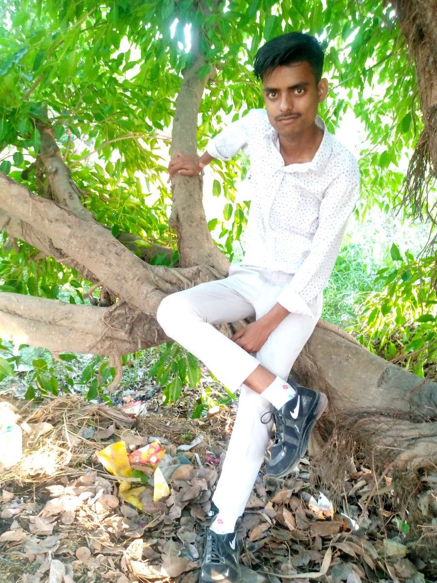 86823540 8116 medium large