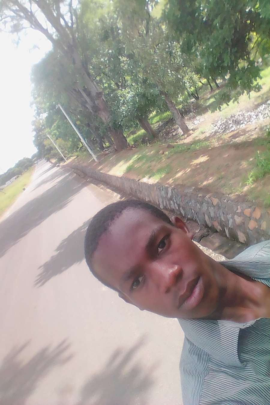 90920861 2907 medium large